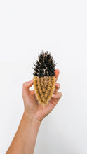 Veggie brush