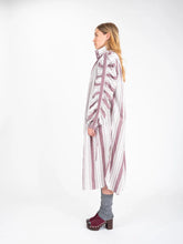 V de Vinster - Joy dress