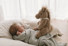 Harvey the horse