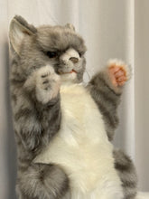 Hansa puppet cat