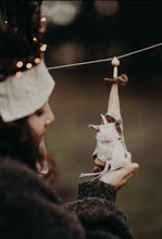 The wish pixies - Hanging Pods