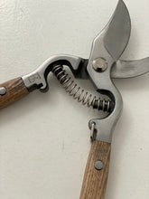 Secateurs