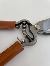 Secateurs