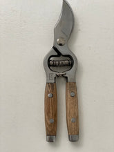 Secateurs