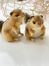 Hansa Chipmunk