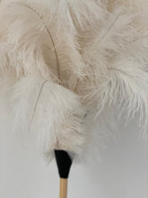 Feather duster