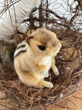 Hansa Chipmunk