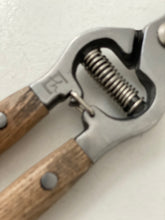 Secateurs