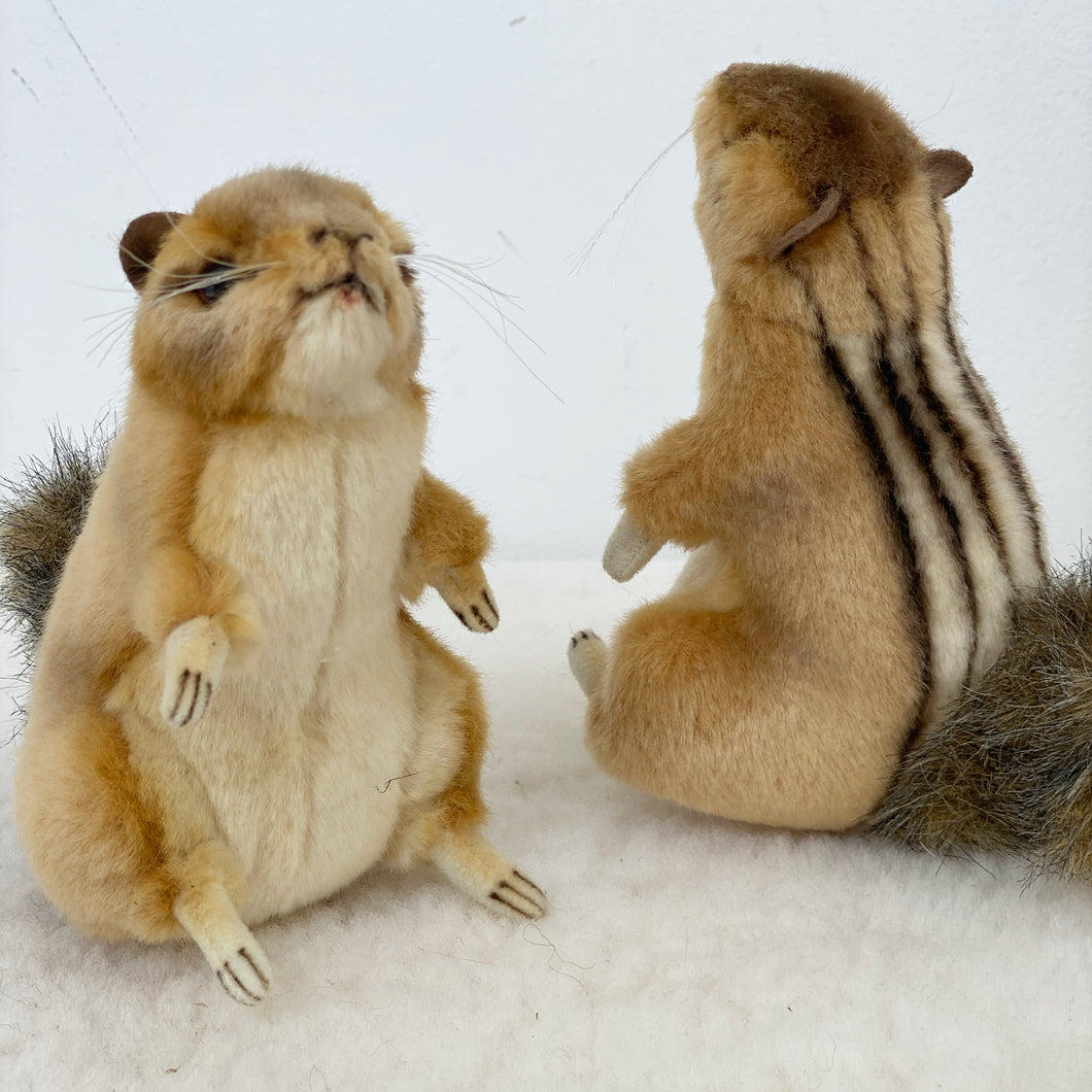 Hansa Chipmunk