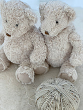 Freddy the Teddy