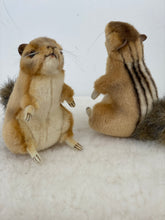 Hansa Chipmunk