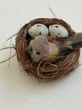 Bird Nest on clip