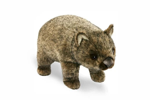Hansa wombat