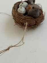 Bird Nest on clip