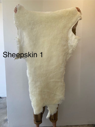 Sheep skin