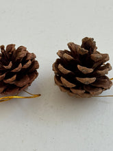 pinecone ornement