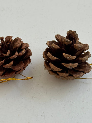 pinecone ornement