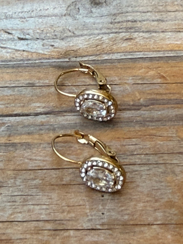 Oval rock earrings