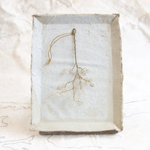 Japanese Spring Branch