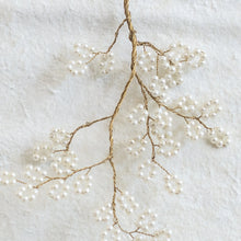 Japanese Spring Branch