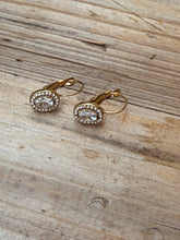 Oval rock earrings