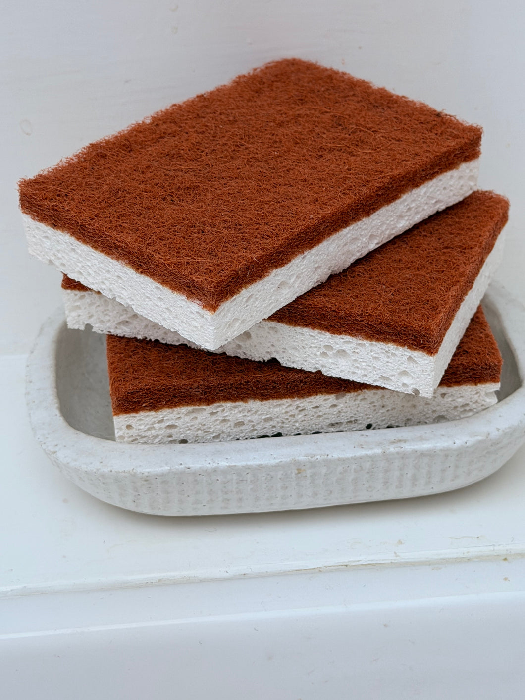 Sponge