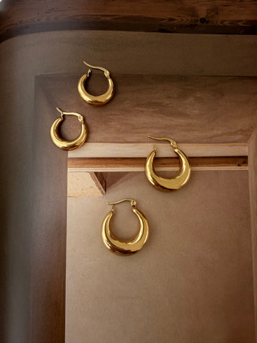 Earring hoops