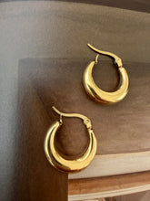 Earring hoops