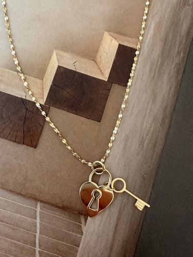 Locker long chain necklace