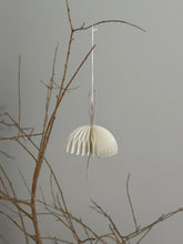 Paper white Ballerina