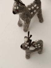 Reindeers grey