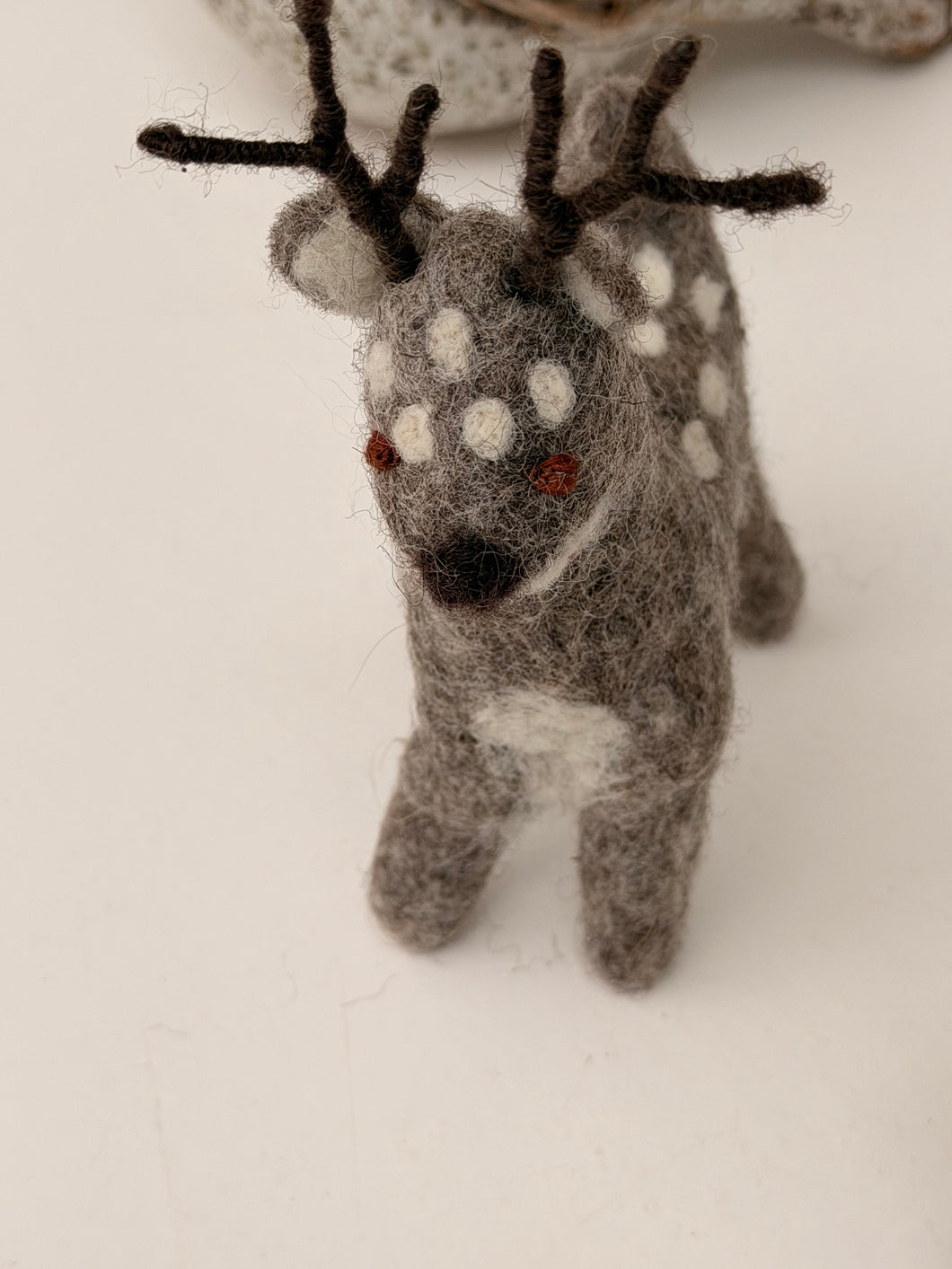 Reindeers grey