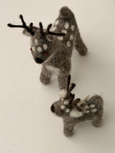 Reindeers grey