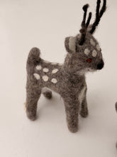 Reindeers grey