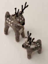 Reindeers grey
