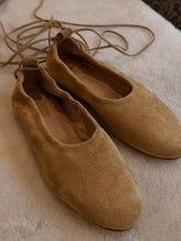 anniel - ballet flat camello suede with tie