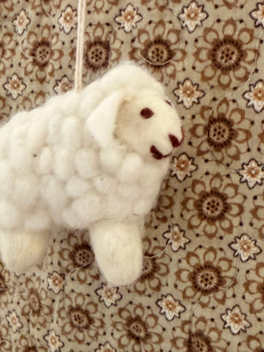 Sheeps Sebastian and Ava