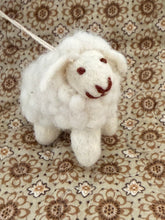 Sheeps Sebastian and Ava