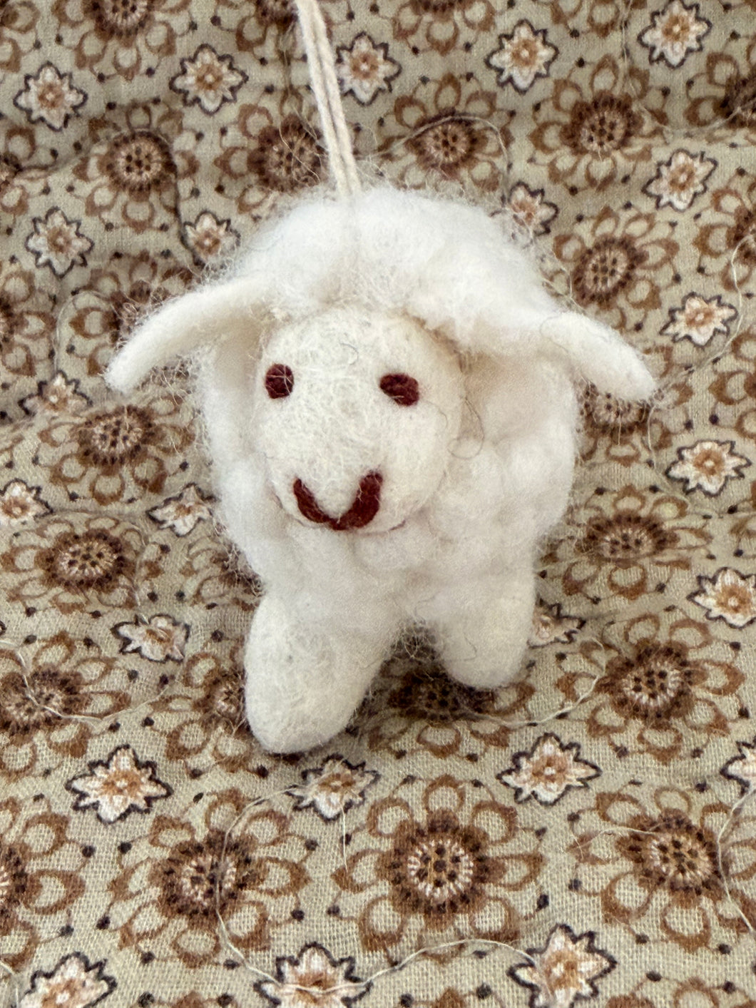 Sheeps Sebastian and Ava