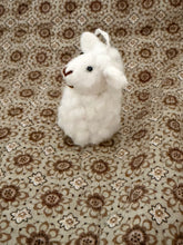 Sheeps Sebastian and Ava