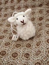 Sheeps Sebastian and Ava