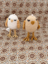 Chickens dreamer off kenyon and Sarah