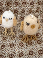 Chickens dreamer off kenyon and Sarah
