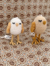 Chickens dreamer off kenyon and Sarah