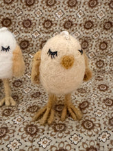Chickens dreamer off kenyon and Sarah