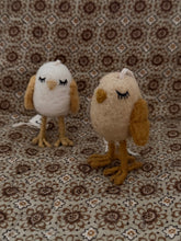 Chickens dreamer off kenyon and Sarah