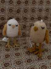 Chickens dreamer off kenyon and Sarah