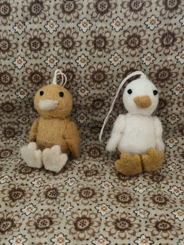 Ducks Ninie and Marco