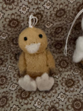 Ducks Ninie and Marco