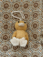 Ducks Ninie and Marco